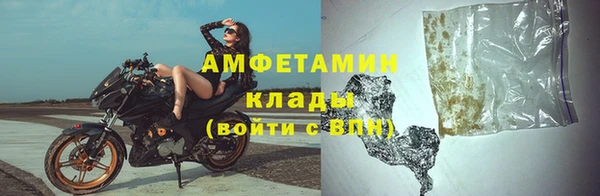 прущие грибы Белокуриха