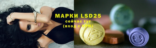 прущие грибы Белокуриха