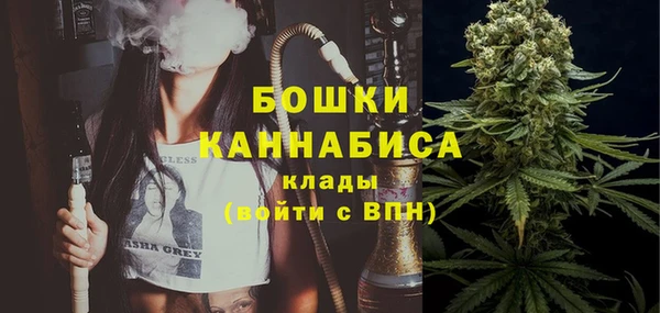 прущие грибы Белокуриха