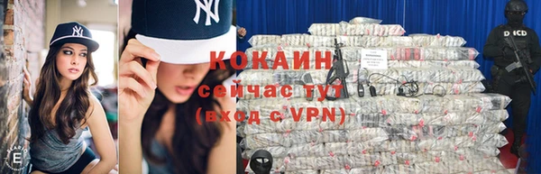 прущие грибы Белокуриха