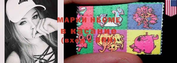 прущие грибы Белокуриха