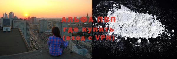 прущие грибы Белокуриха