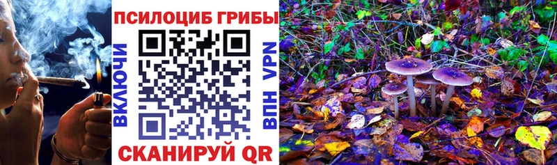 Псилоцибиновые грибы MAGIC MUSHROOMS  OMG сайт  Кушва 